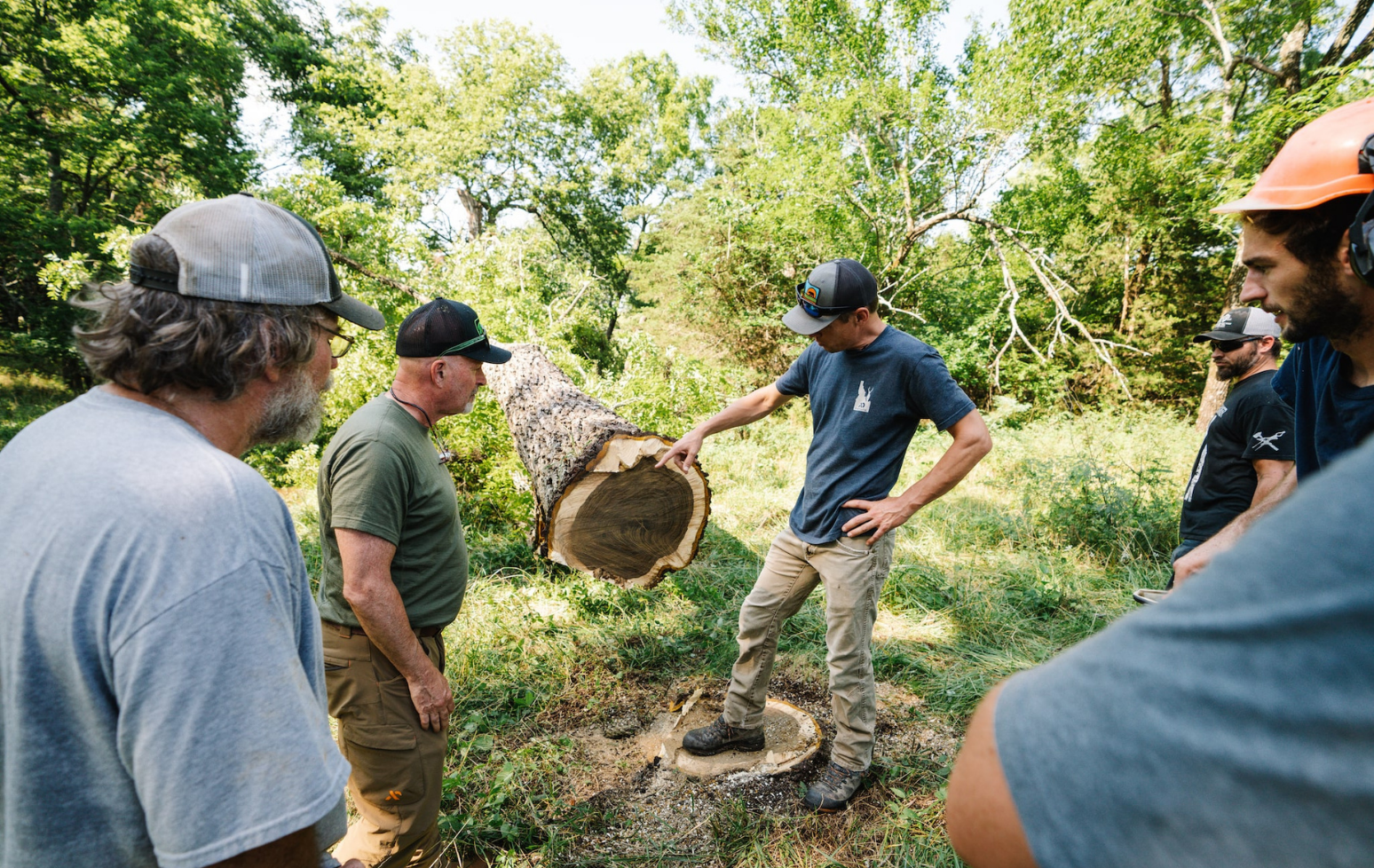 Line 1 Tree Cutting