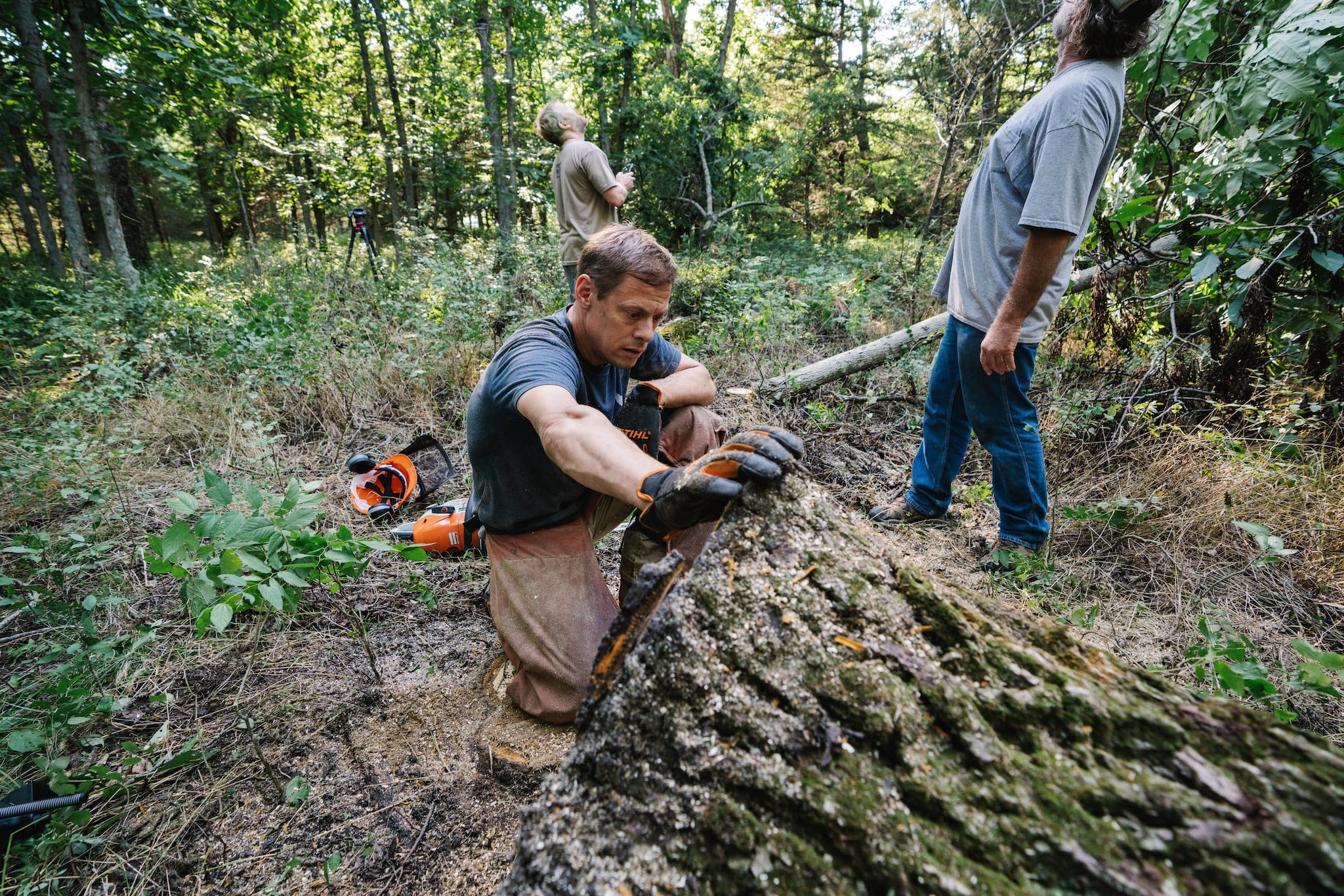 Line 1 Tree Cutting Process