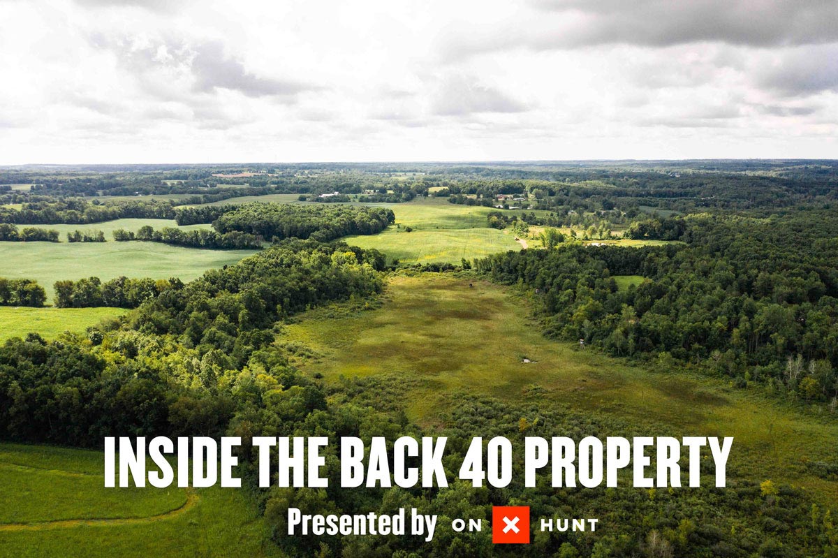 Back 40 Property Overview